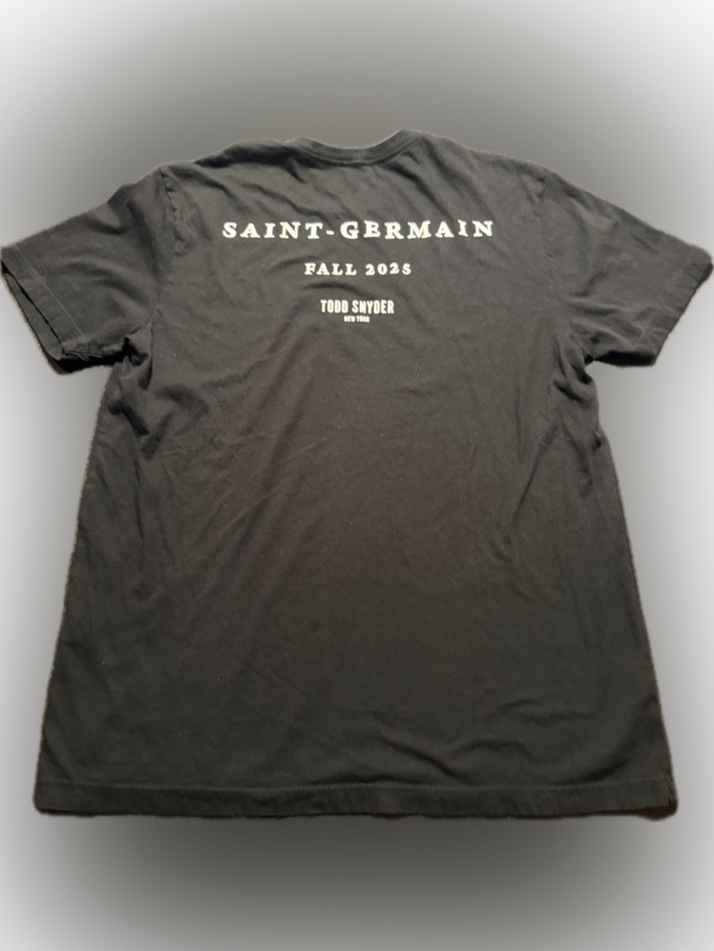 Todd Snyder New York T Shirt Large Saint Germain Fall 2025 Collection Made In US
